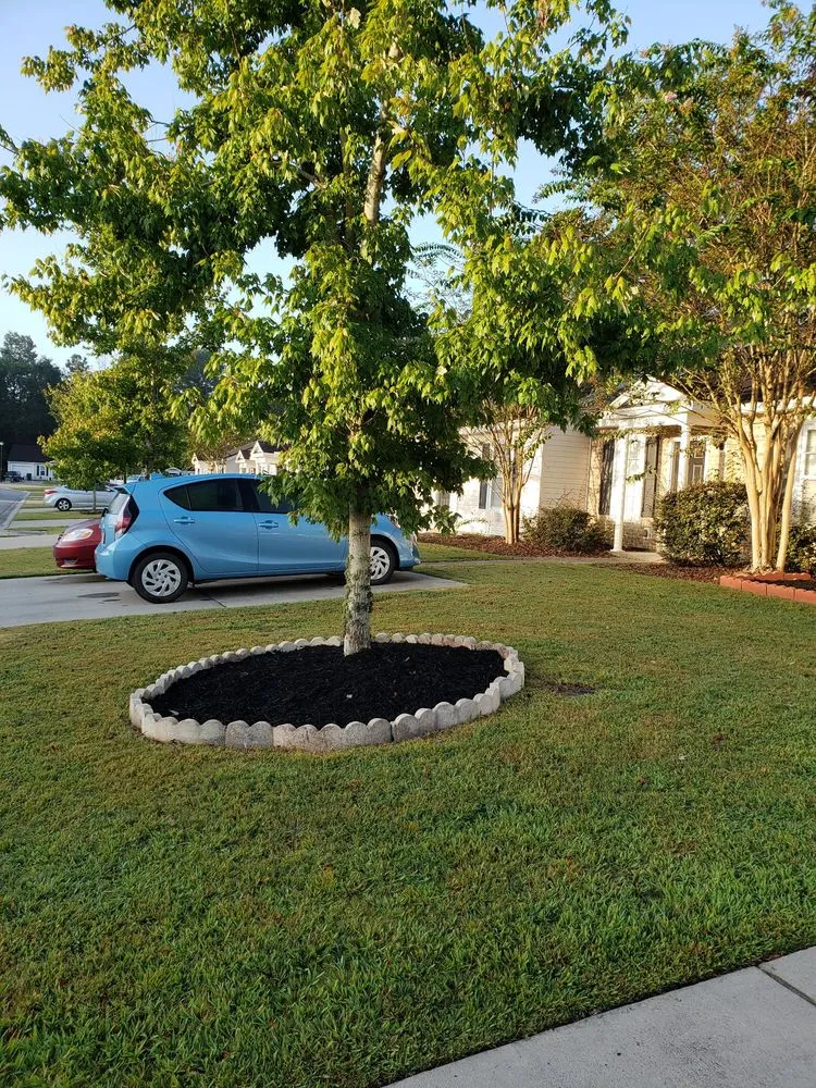 Top-rated residential landscaping in Charleston, SC by Mills Mowers