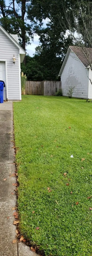 Expert landscape design for homes in Charleston, SC by Mills Mowers