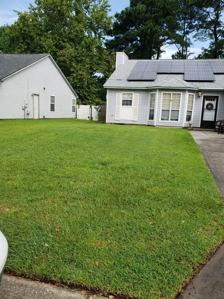 Reliable yard cleanup service experts serving Charleston, SC - Mills Mowers