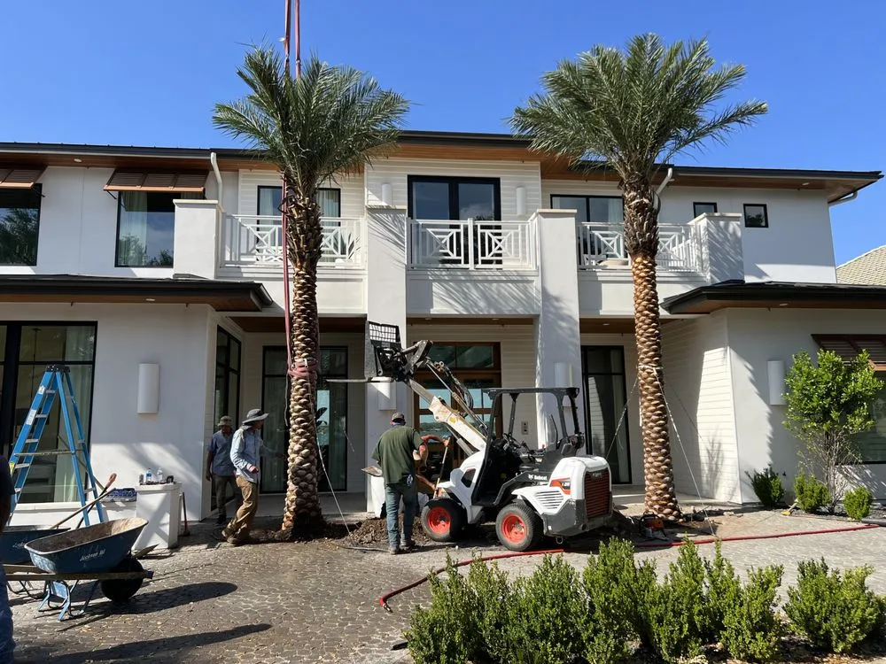 Expert yard maintenance experts serving Kingsland, TX - Mills Services