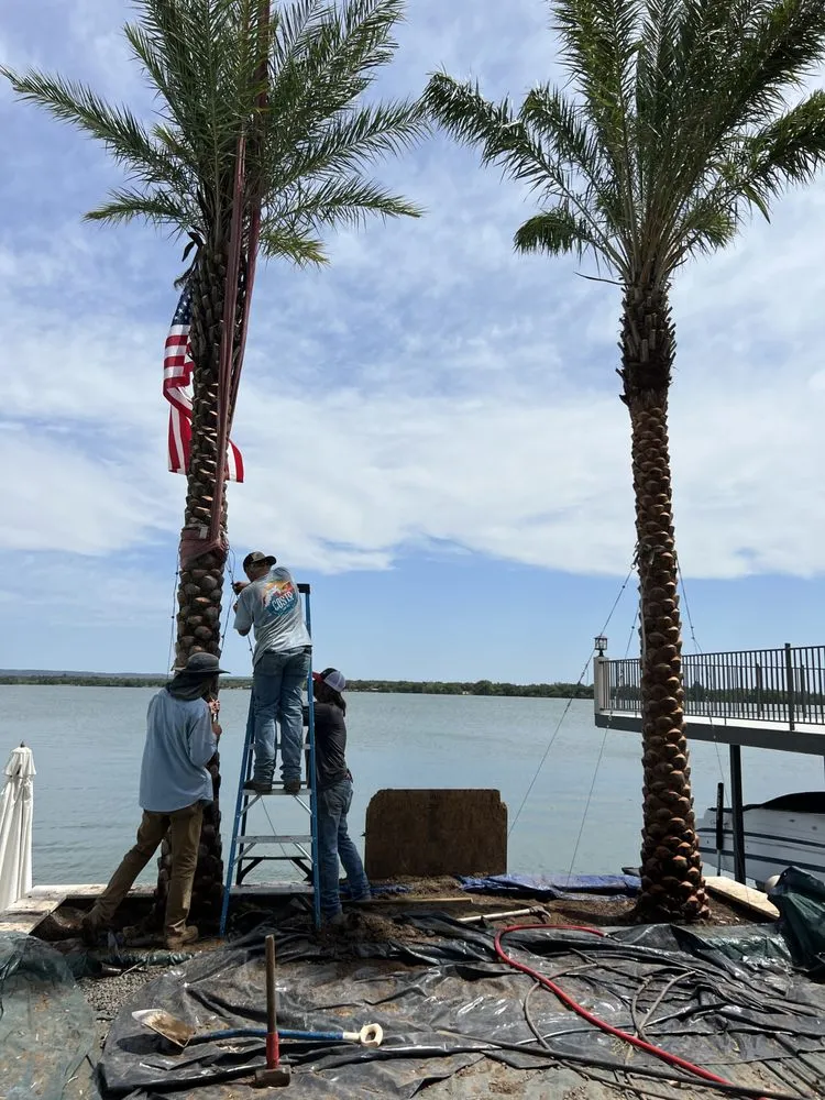 Professional outdoor landscaping experts serving Kingsland, TX - Mills Services