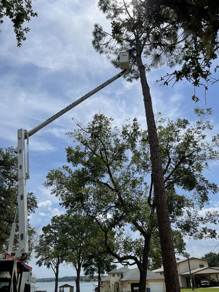 Expert outdoor landscaping for beautiful yards across Kingsland, TX - Mills Services