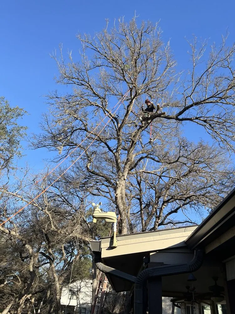 Top-rated yard cleanup service experts serving Kingsland, TX - Mills Services