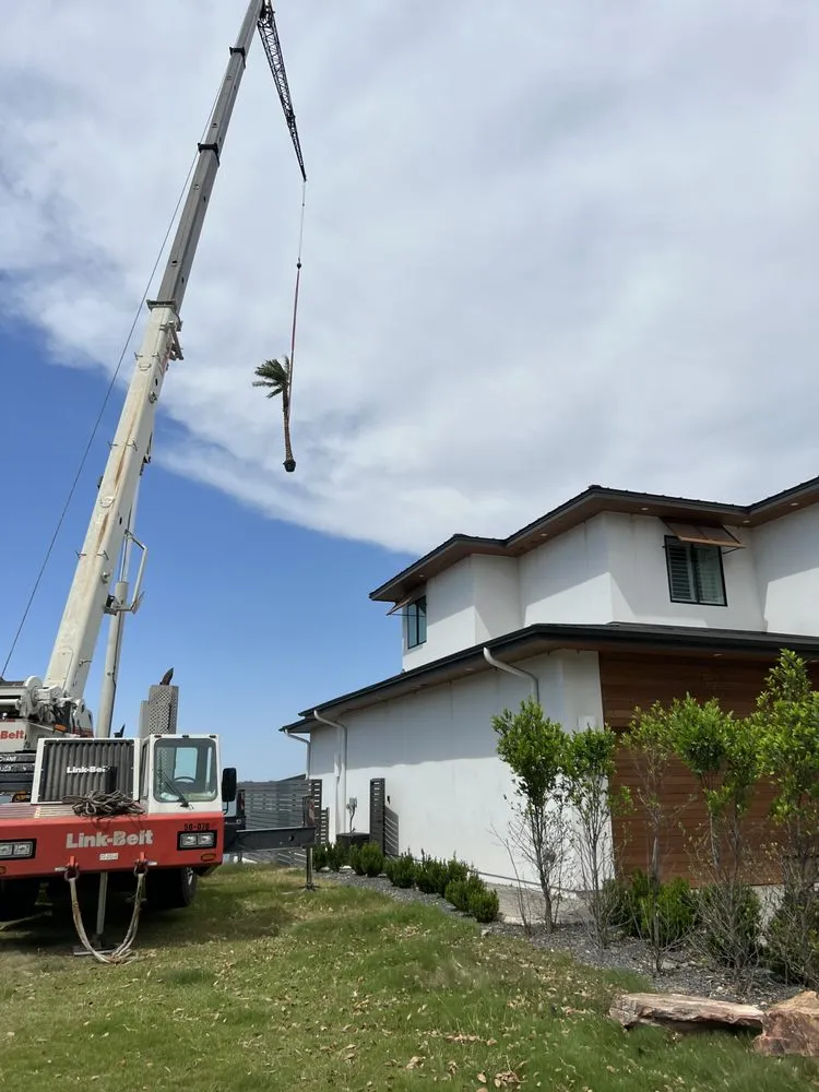 Expert landscaping services with custom design across Kingsland, TX - Mills Services