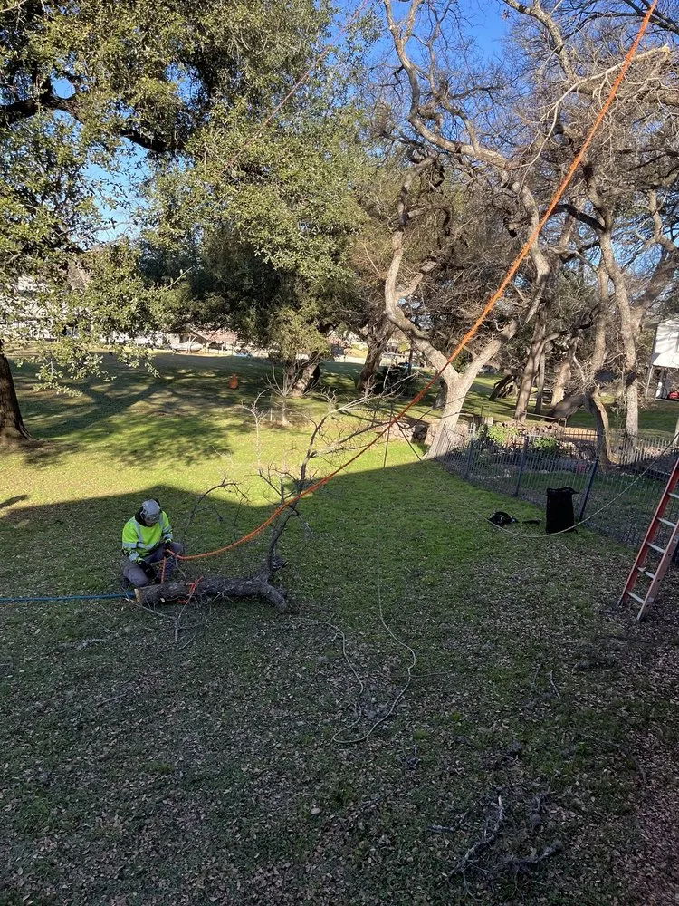 Custom garden landscaping in Kingsland, TX by Mills Services