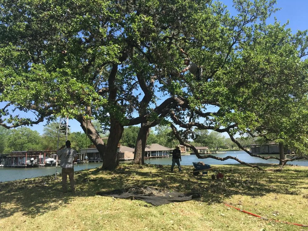 Local residential landscaping experts serving Kingsland, TX - Mills Services