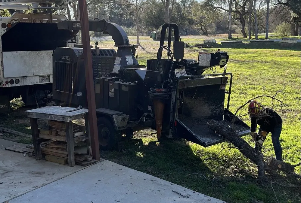 Reliable yard cleanup service for homes across Kingsland, TX - Mills Services