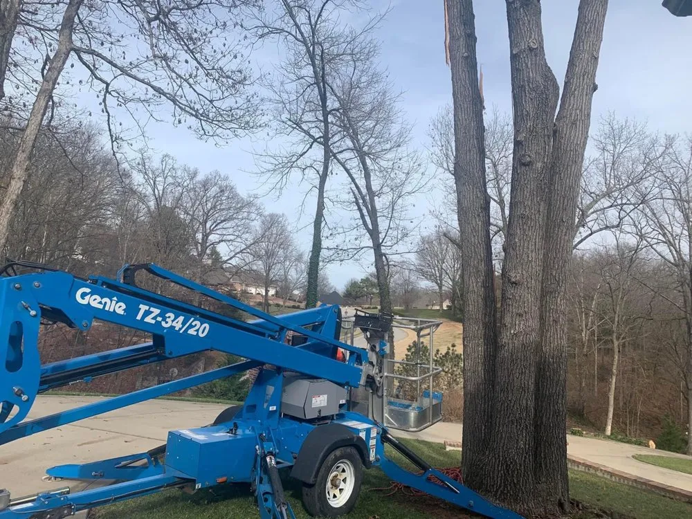 Expert landscaping services for residential properties across Garfield, AR - Mills Tree Service