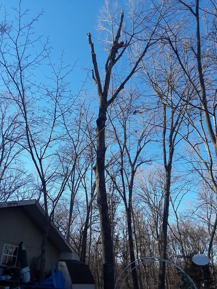 Local landscape installation experts serving Garfield, AR - Mills Tree Service