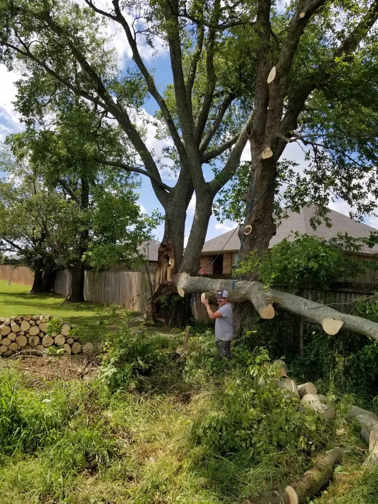 Local outdoor landscaping experts serving Garfield, AR - Mills Tree Service