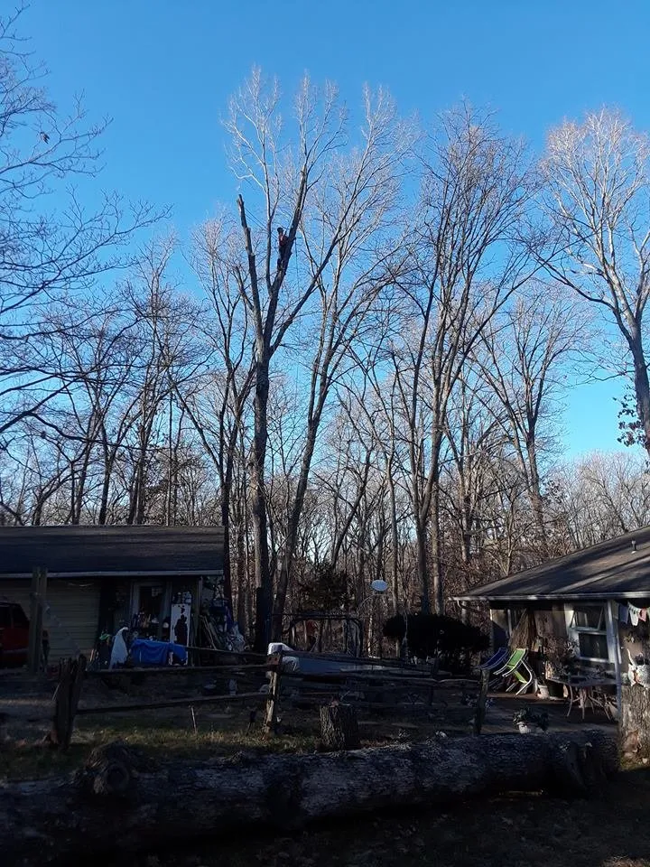 Expert yard cleanup service in Garfield, AR - Mills Tree Service