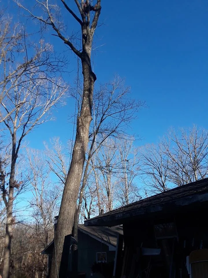 Local outdoor landscaping experts serving Garfield, AR - Mills Tree Service