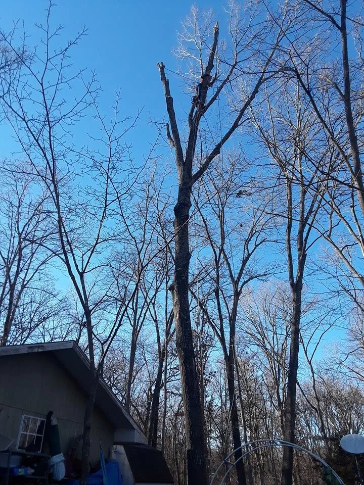 Top-rated lawn mowing service experts serving Garfield, AR - Mills Tree Service