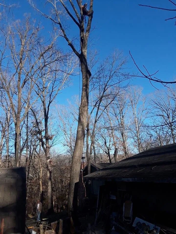 Trusted landscaping services experts serving Garfield, AR - Mills Tree Service