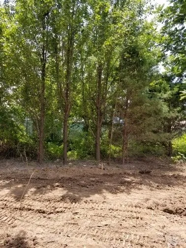 Local garden landscaping experts serving Garfield, AR - Mills Tree Service