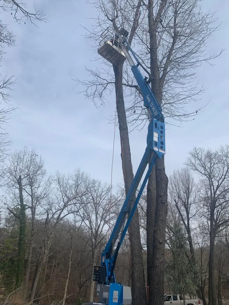 Professional outdoor landscaping experts serving Garfield, AR - Mills Tree Service