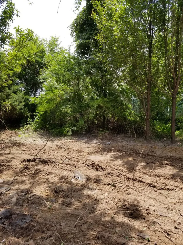 Local lawn mowing service with custom design across Garfield, AR - Mills Tree Service