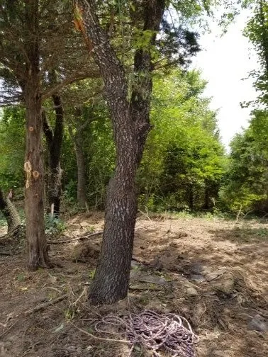 Custom lawn mowing service in Garfield, AR by Mills Tree Service