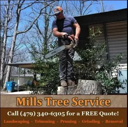 Top-rated yard cleanup service in Garfield, AR - Mills Tree Service