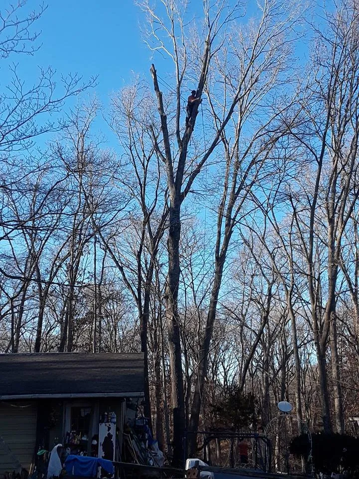 Reliable garden landscaping near you in Garfield, AR by Mills Tree Service