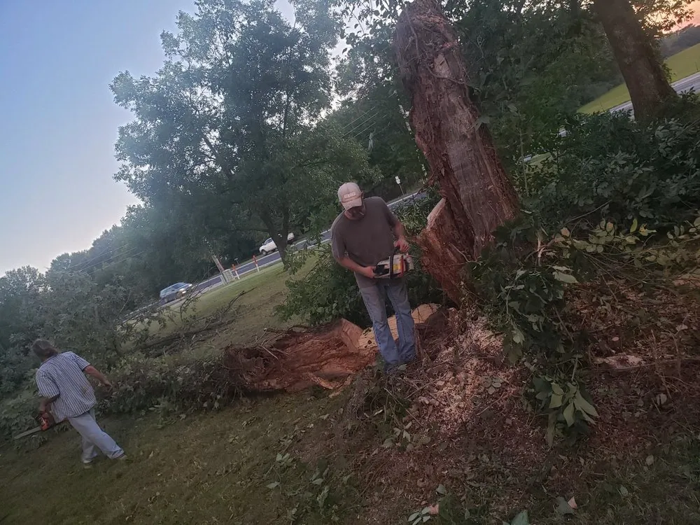 Custom yard cleanup service in Mt Vernon, AR by Millsaps Custom Creations