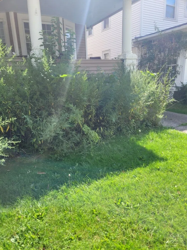 Professional lawn mowing service in Brook Park, OH - Millsaps Property Management