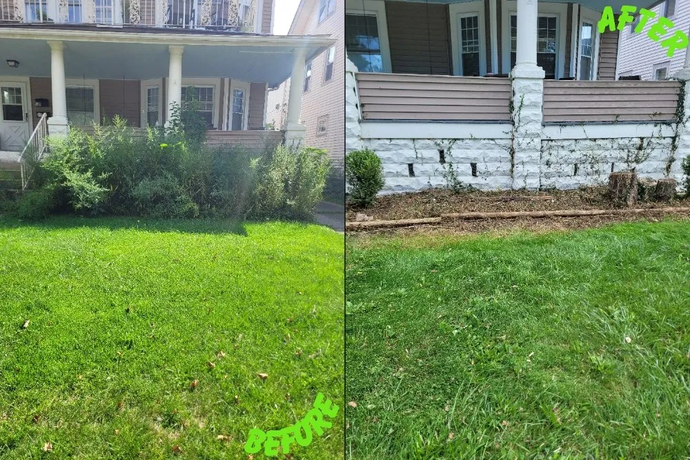 Affordable landscape installation in Brook Park, OH - Millsaps Property Management