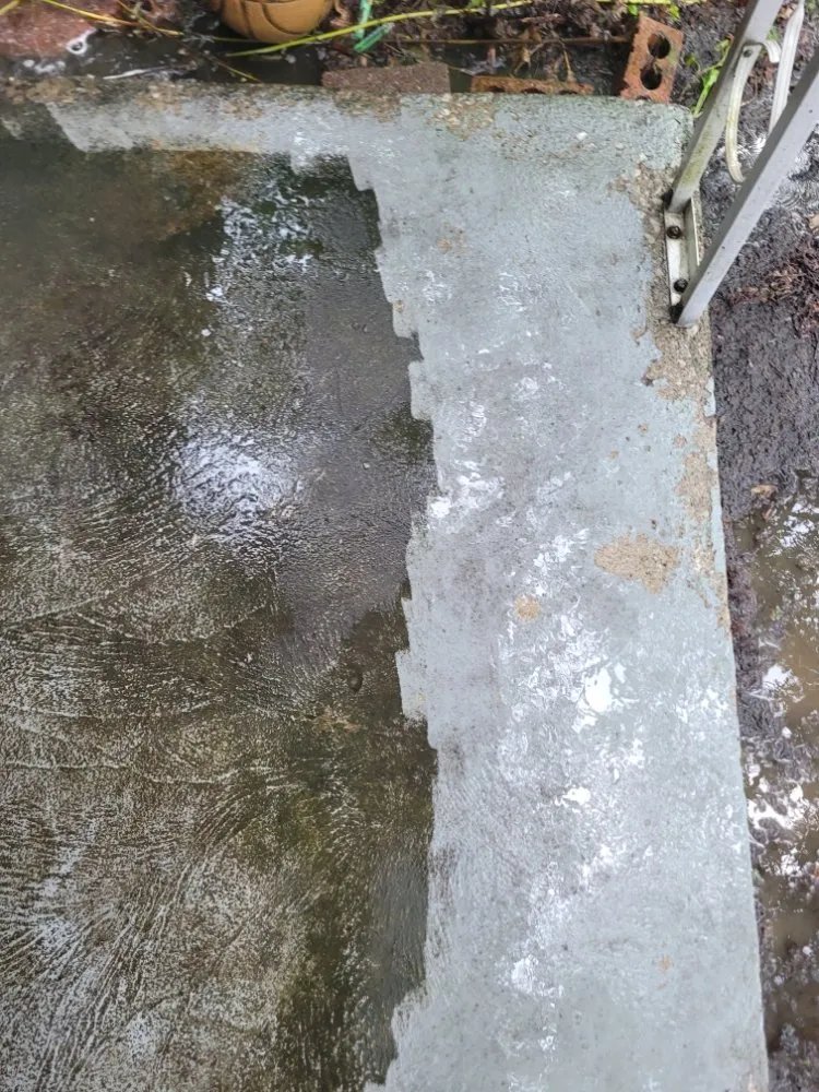 Reliable yard cleanup service in Brook Park, OH - Millsaps Property Management