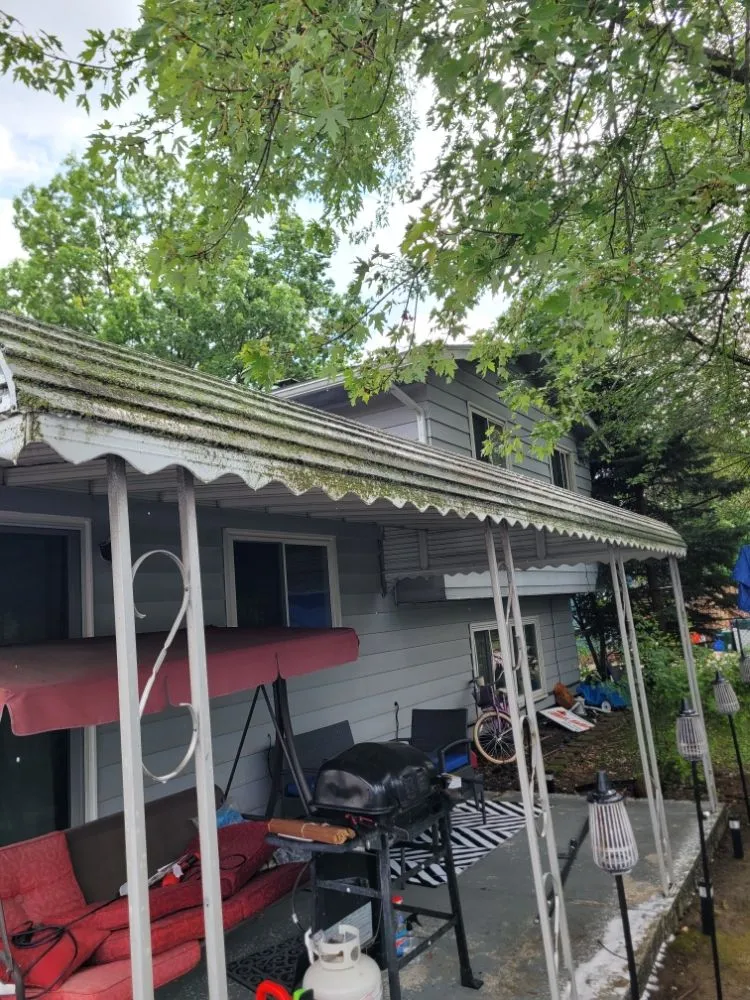 Top-rated lawn care service for outdoor upgrades across Brook Park, OH - Millsaps Property Management