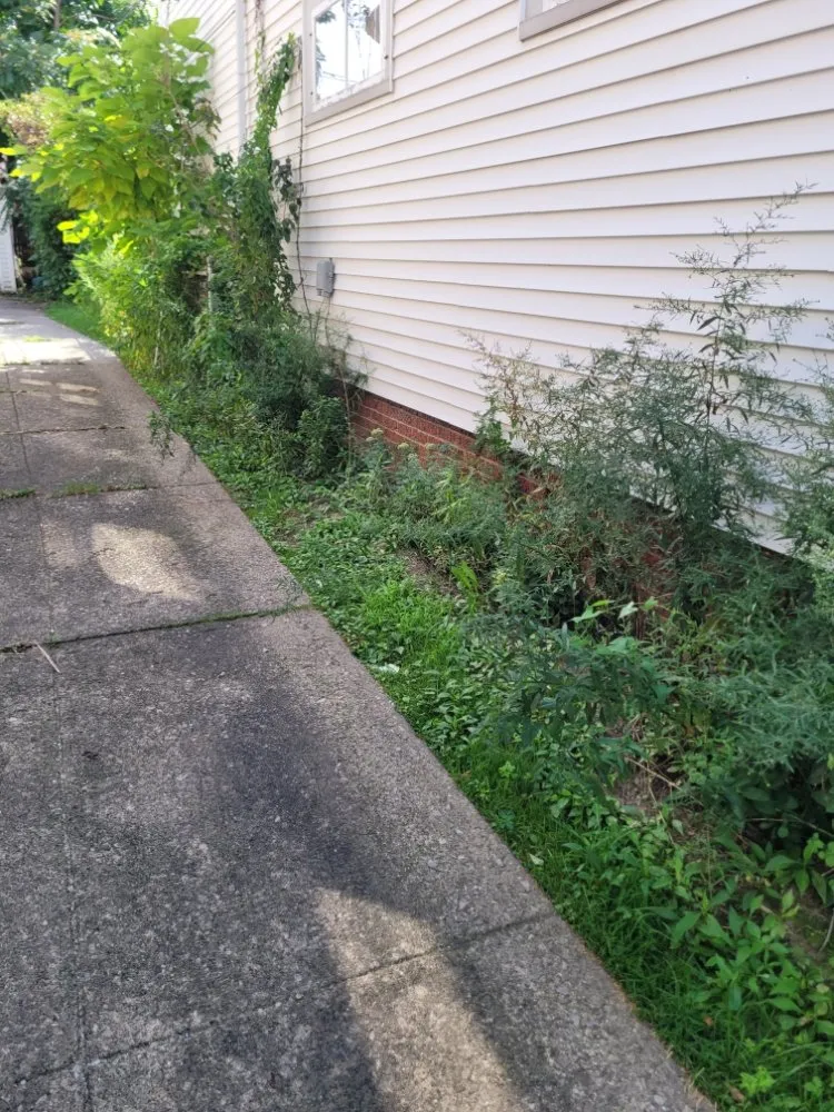 Custom yard cleanup service for homes across Brook Park, OH - Millsaps Property Management