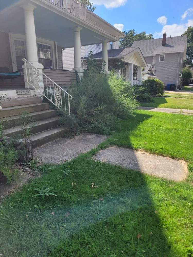 Top-rated garden landscaping for outdoor upgrades in Brook Park, OH by Millsaps Property Management