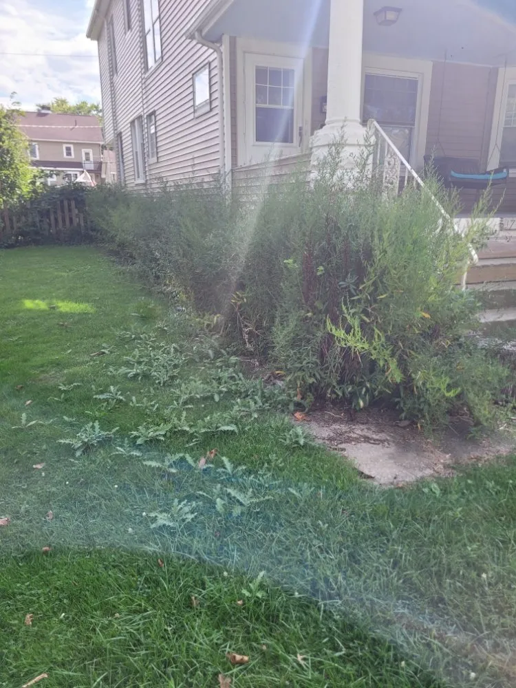 Affordable landscape design in Brook Park, OH - Millsaps Property Management