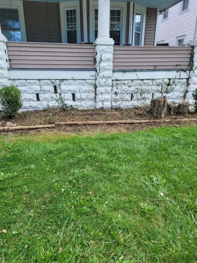 Trusted lawn care service in Brook Park, OH by Millsaps Property Management