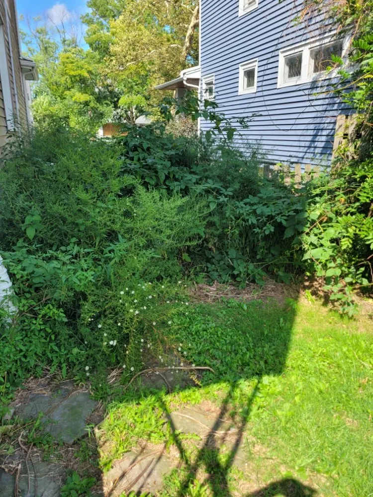 Reliable yard maintenance in Brook Park, OH - Millsaps Property Management