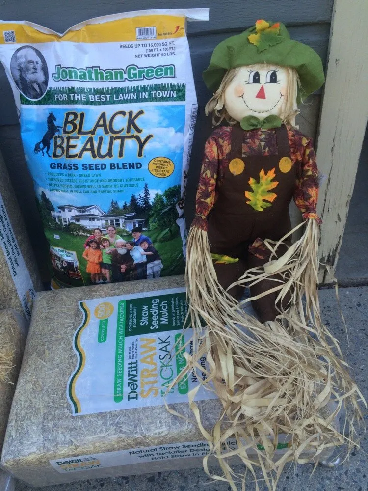 Custom landscaping services for beautiful yards in Maplewood, NJ by Millstone Lawn & Garden