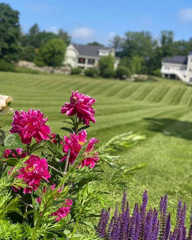 Expert landscape installation for residential properties across Lebanon, ME - Millwood Fine Garden and Hardecape Co.