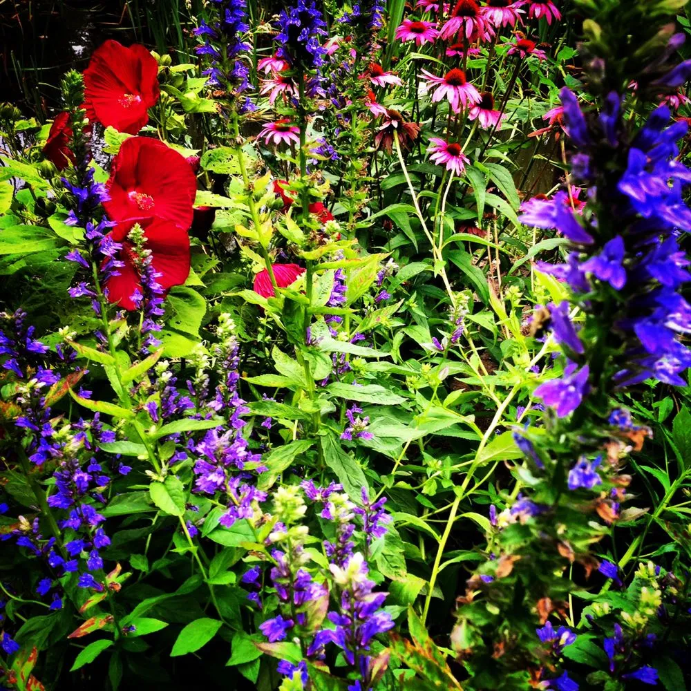 Local yard maintenance for residential properties across Lebanon, ME - Millwood Fine Garden and Hardecape Co.