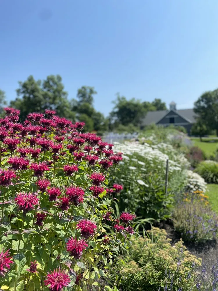 Affordable yard maintenance with custom design across Lebanon, ME - Millwood Fine Garden and Hardecape Co.