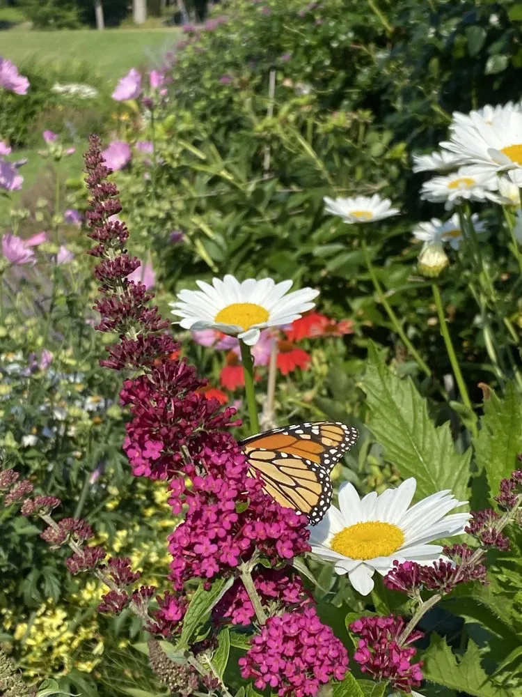 Reliable lawn care service experts serving Lebanon, ME - Millwood Fine Garden and Hardecape Co.