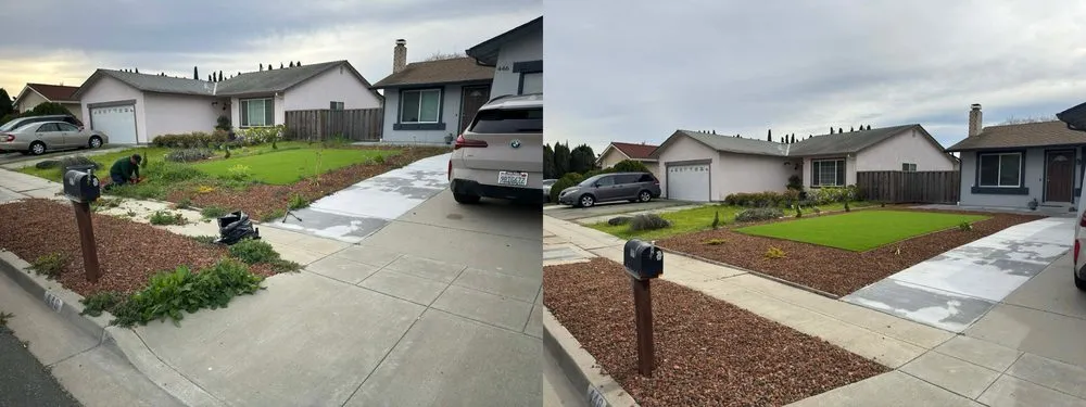 Local yard maintenance for residential properties in San Jose, CA by Milo Landscaping & Tree Service