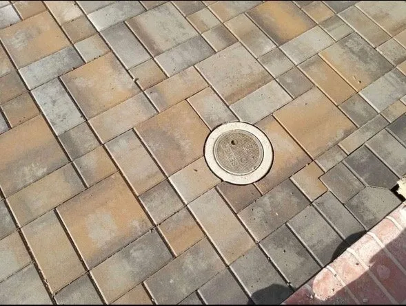 Top-rated garden landscaping for outdoor upgrades in San Jose, CA by Milo Landscaping & Tree Service