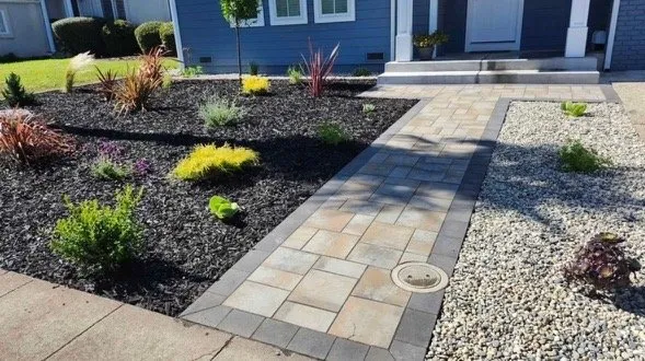 Top-rated yard cleanup service experts serving San Jose, CA - Milo Landscaping & Tree Service