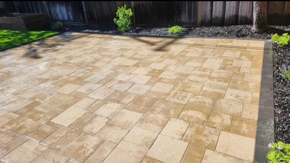 Professional lawn mowing service for year-round maintenance in San Jose, CA by Milo Landscaping & Tree Service