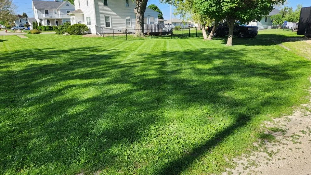 Affordable landscape design near you in Lisbon, IA by Milo's Lawn Care Services
