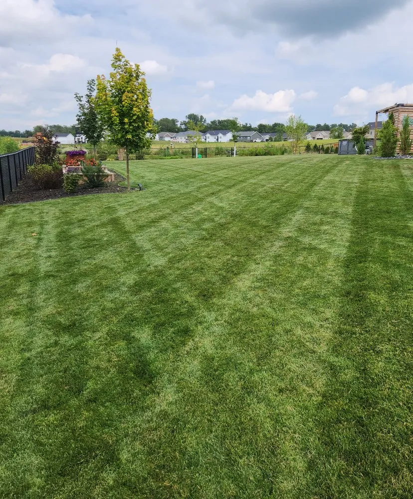 Professional yard cleanup service with custom design across Lisbon, IA - Milo's Lawn Care Services