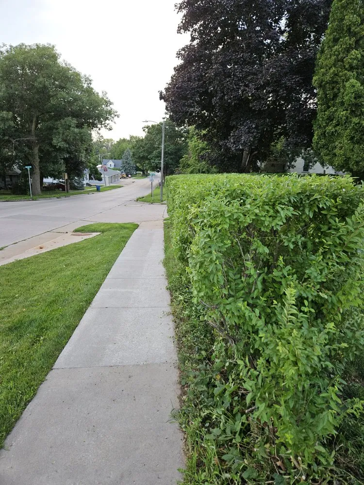 Trusted yard maintenance in Lisbon, IA - Milo's Lawn Care Services