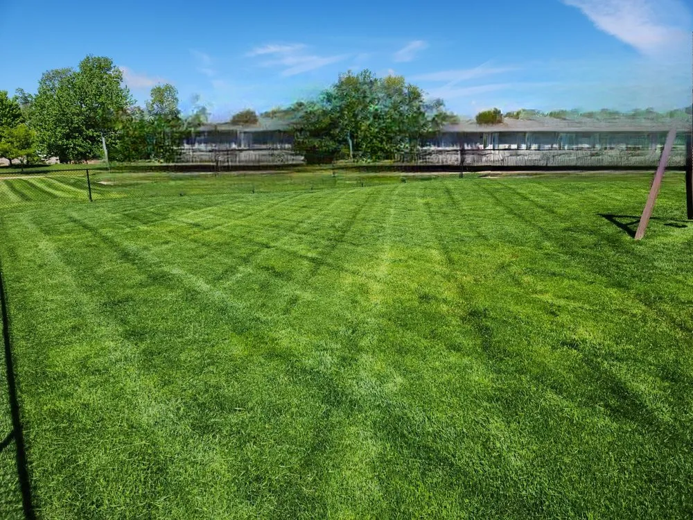 Expert yard maintenance in Lisbon, IA - Milo's Lawn Care Services