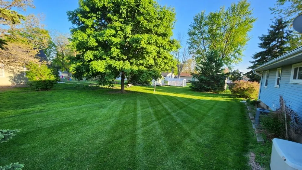 Professional yard maintenance for beautiful yards across Lisbon, IA - Milo's Lawn Care Services