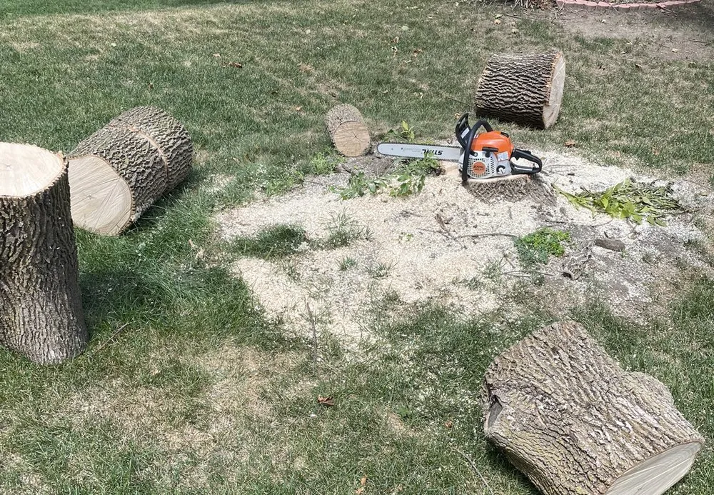 Trusted residential landscaping in Franklin, WI by Milosevic Landscape