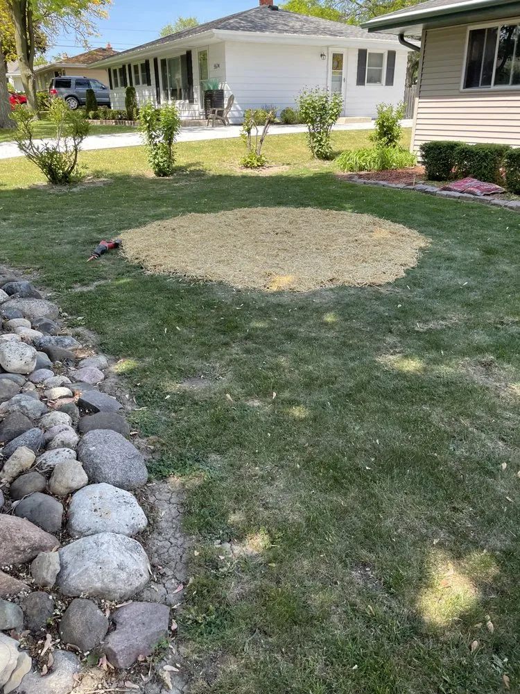 Professional landscape design experts serving Franklin, WI - Milosevic Landscape